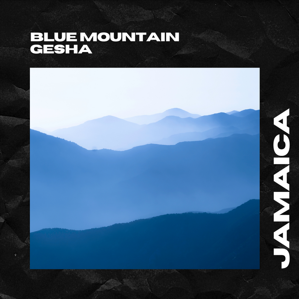 Geisha Microlote Blue Mountain 100 g Café