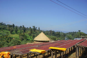 
            
                Load image into Gallery viewer, Etiopía Café
            
        